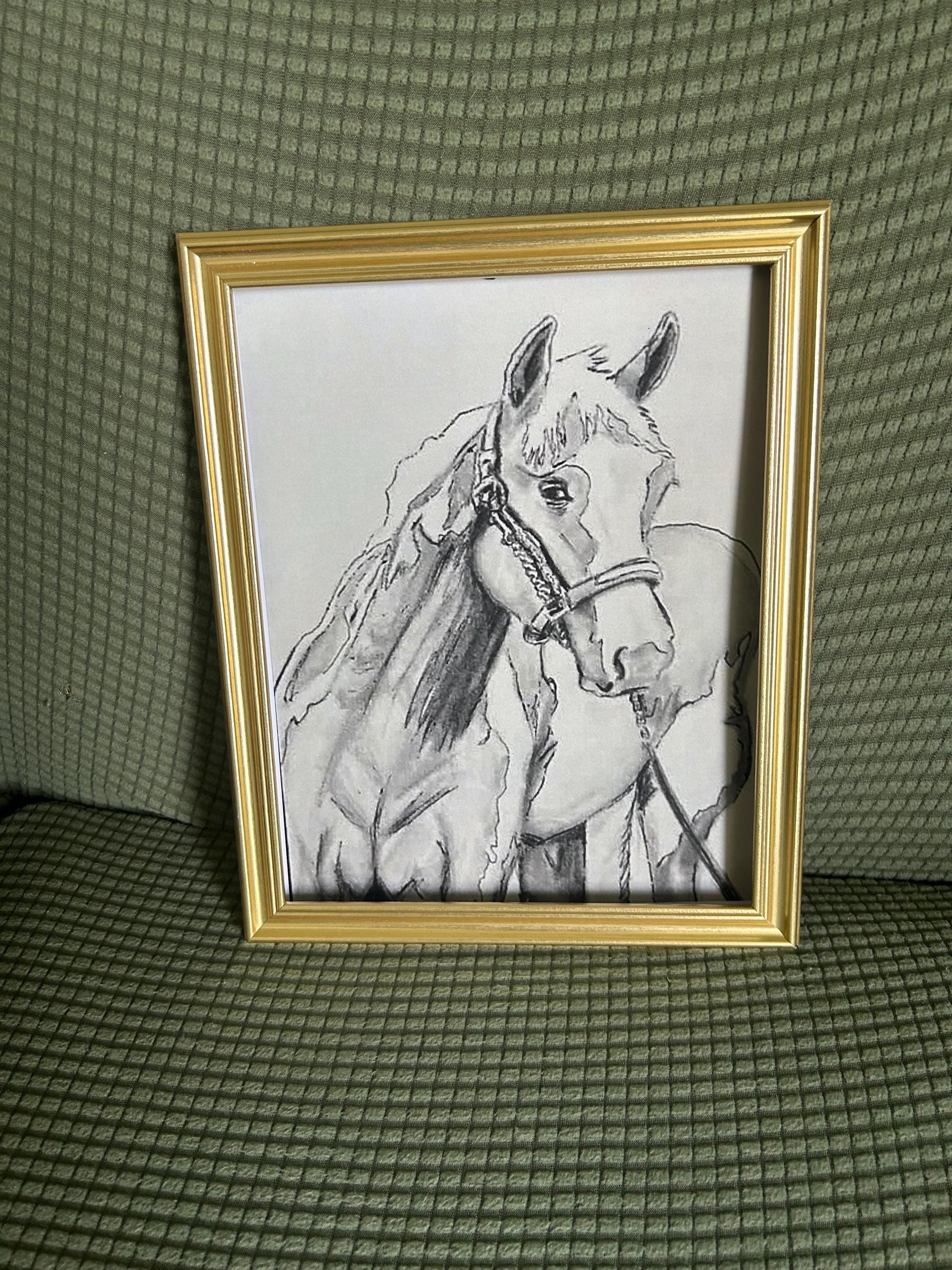 Digital Print Horse pen Drawing
