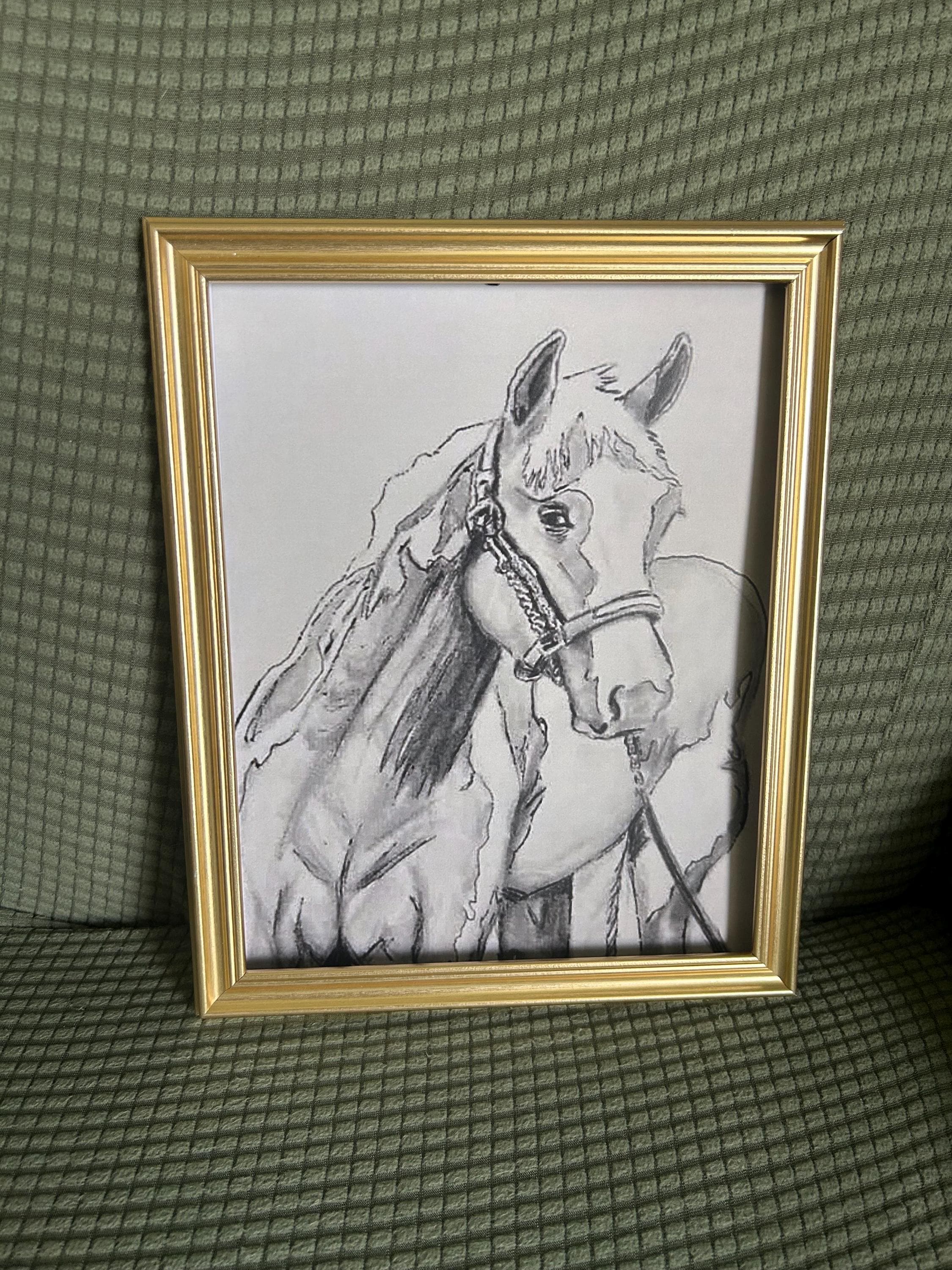 Digital Print Horse pen Drawing