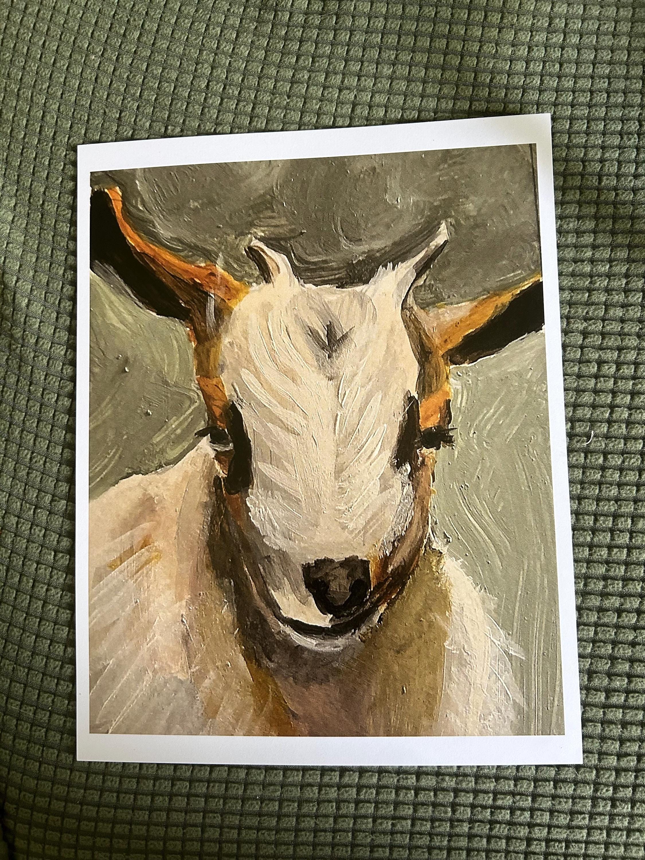 Little Goat